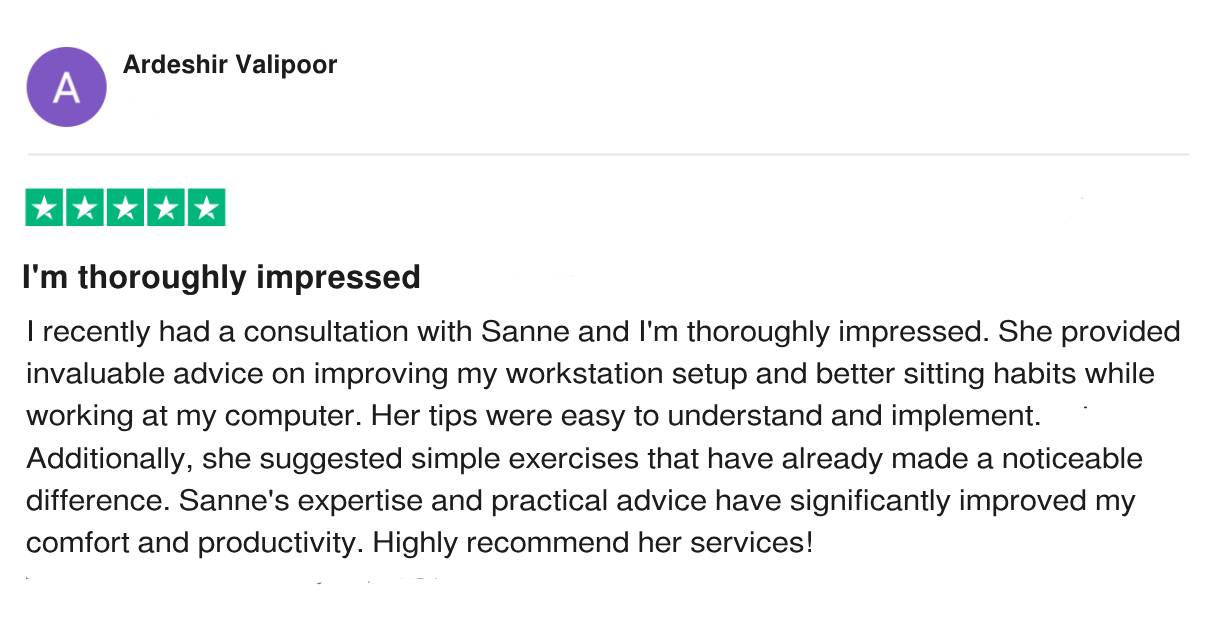 Trustpilot DeskGuru review EN - Ardeshir Valipoor