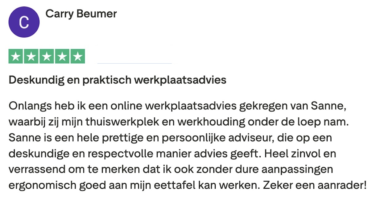 Trustpilot DeskGuru review Carry Beumer Trustpilot DeskGuru review Carry Beumer